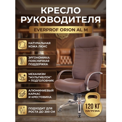 ������ ��� ������������ Everprof Orion AL M ���� - ������ �� ����������� ����