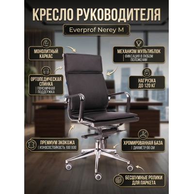 ������ ��� ��������� Everprof Nerey M ������� - ������ �� ����������� ����