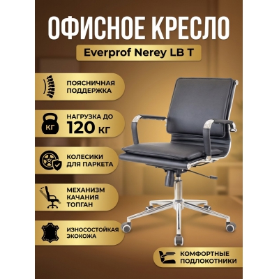 ������ ��� ��������� Everprof Nerey LB T - ������ �� ����������� ����