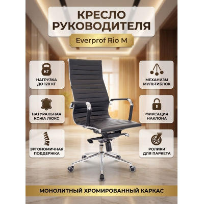 ������ ��� ��������� Everprof Rio � ���� - ������ �� ����������� ����