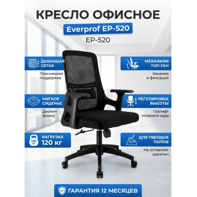 ������ ��� ��������� Everprof EP-520 ����� - ������ �� ����������� ����