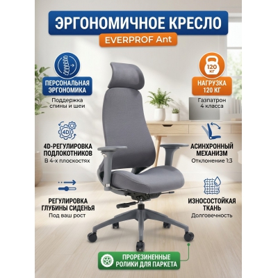 ������������ ������ Everprof Ant ����� - ������ �� ����������� ����