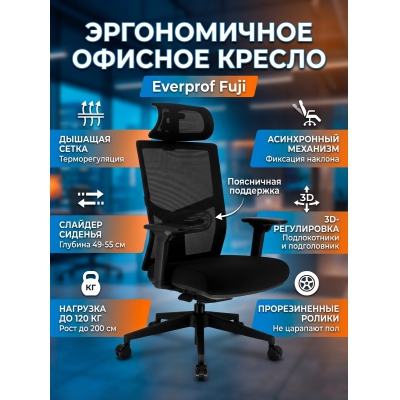 ������������ ������ Everprof Fuji ����� - ������ �� ����������� ����