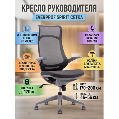 ������ ��� ������������ Everprof Spirit �����, ����� - ������ �� ����������� ����