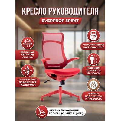 ������ ��� ������������ Everprof Spirit �����, ������� - ������ �� ����������� ����