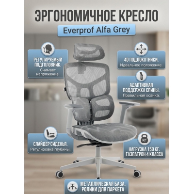 ������������ ������ Everprof Alfa Grey ����� ����� - ������ �� ����������� ����